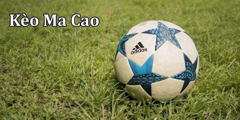 Kinh nghiệm soi kèo Ma Cau hiệu quả, chuẩn xác